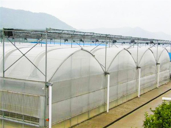 60e260557da9a.jpg 5f60324f8722d.jpg