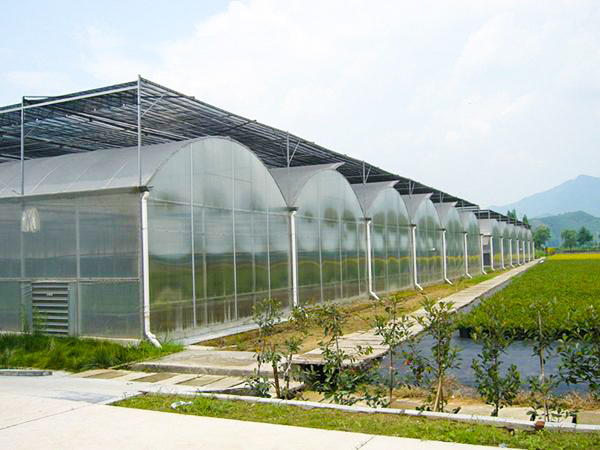 60f399ad93323.jpg 5f60352623e84.jpg