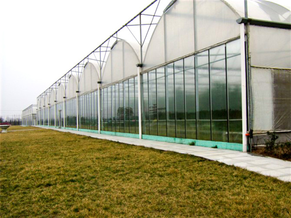 60f8da7a0c1e8.jpg 5f603423596c3.jpg