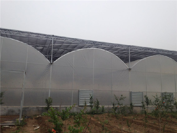 6109e4bf1a228.png 8.png